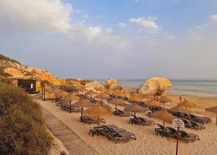 아파트 T1 Dos Salgados